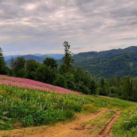 Шале Карпатська Казка Slavsko Extérieur photo