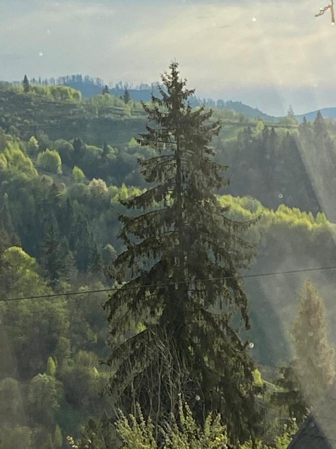 Шале Карпатська Казка Slavsko Extérieur photo