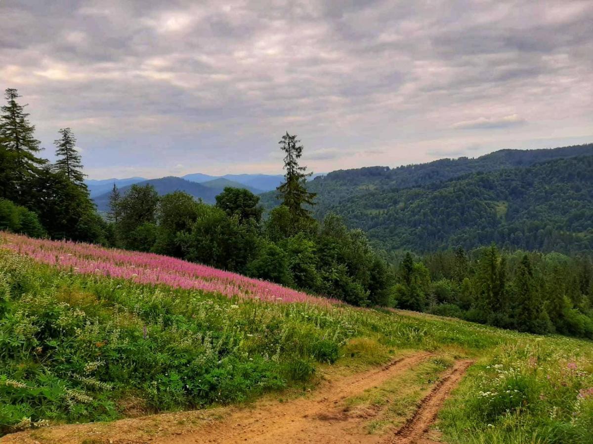 Шале Карпатська Казка Slavsko Extérieur photo