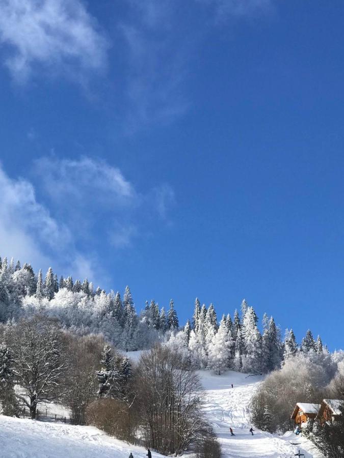 Шале Карпатська Казка Slavsko Extérieur photo